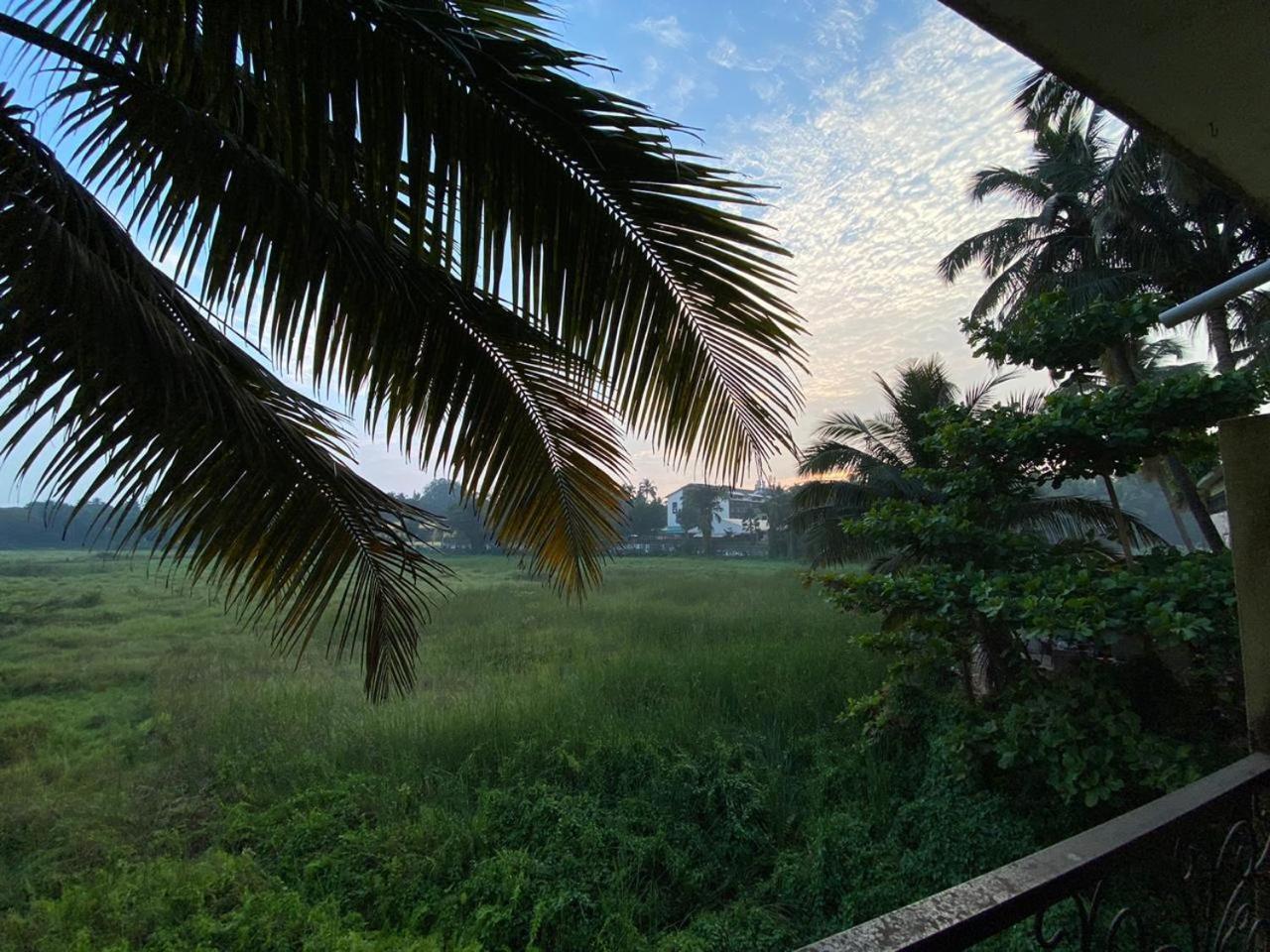 Green Field View Hotel Candolim Exterior foto